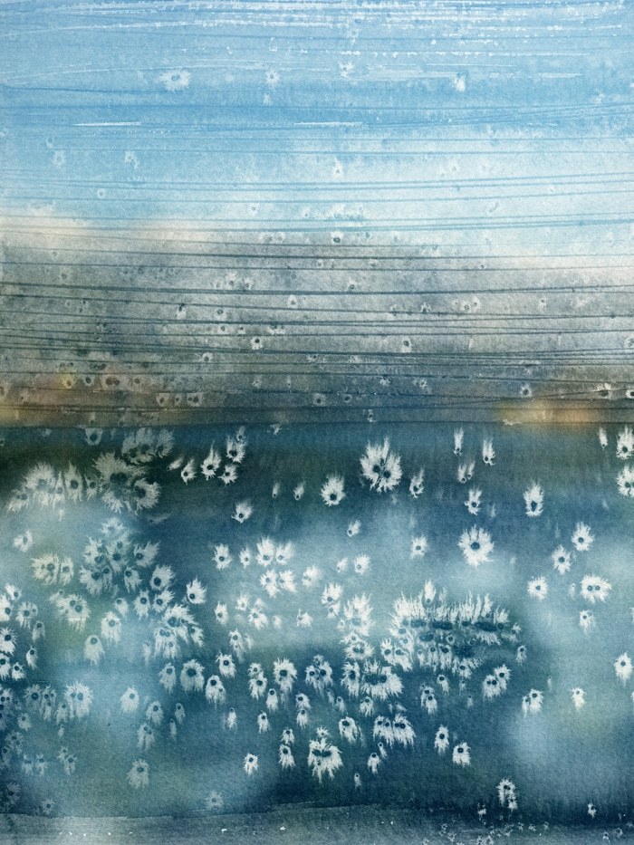 Pasiphae par Jérôme Pergolesi