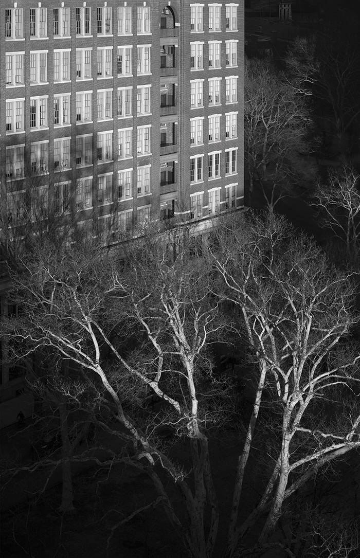 Keystones (Winter Trees) by Geoffrey Ansel Agrons