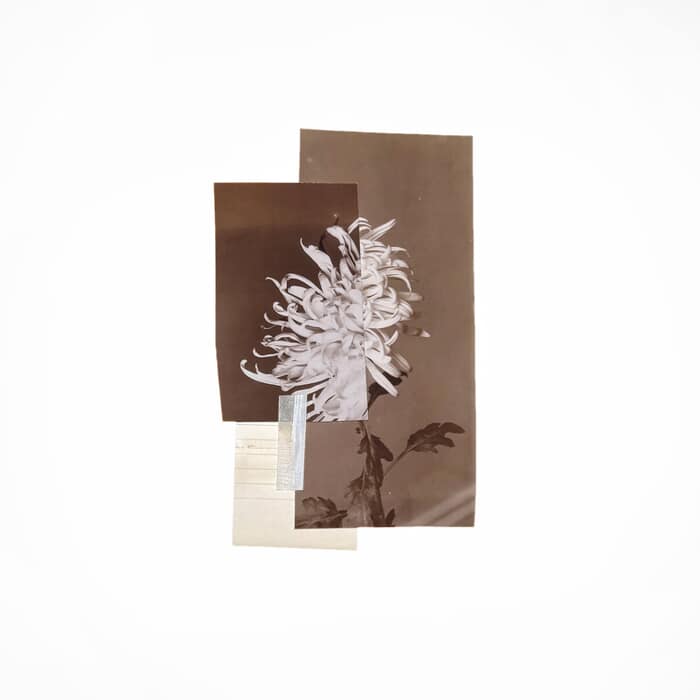 In Desperate Search For The Unfamiliar I par Mona Sultan