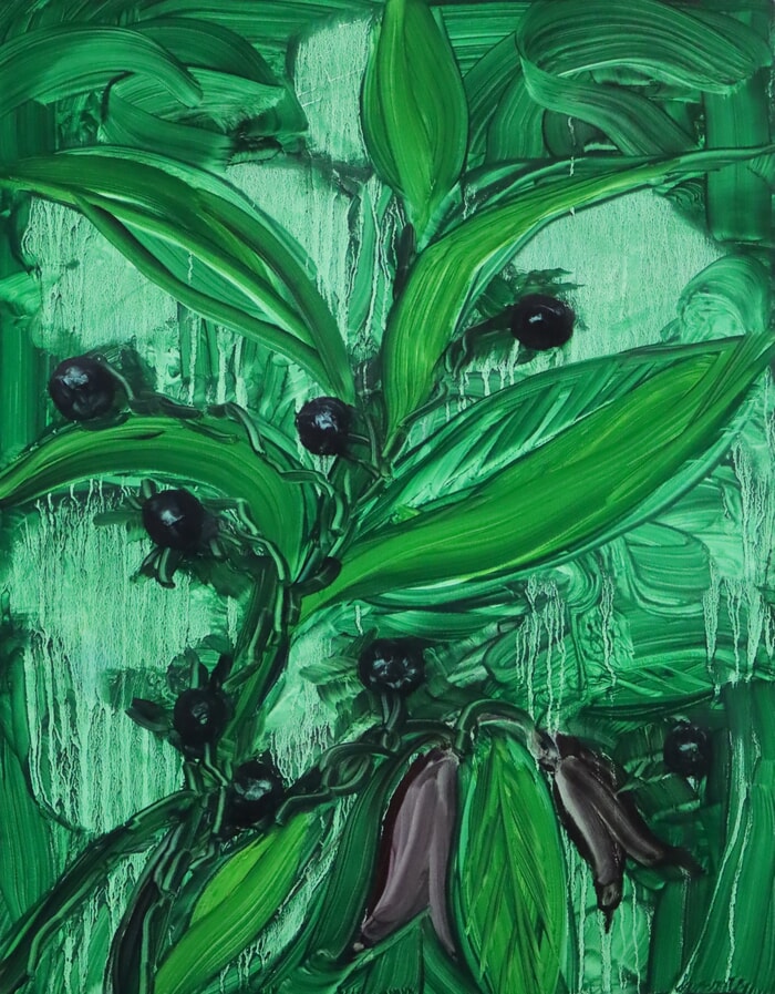 Belladonna von Barbara Howey