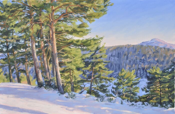 Winter afternoon on the Mézenc von Anne Baudequin