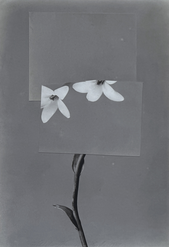 Anchors Away par Mona Sultan