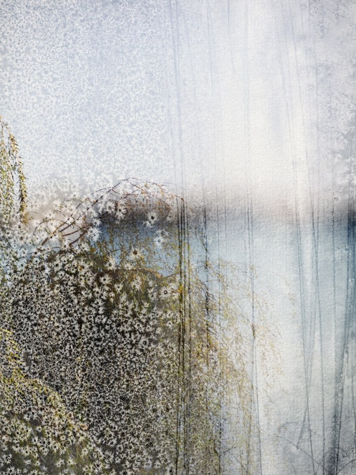 Lillo by Jérôme Pergolesi