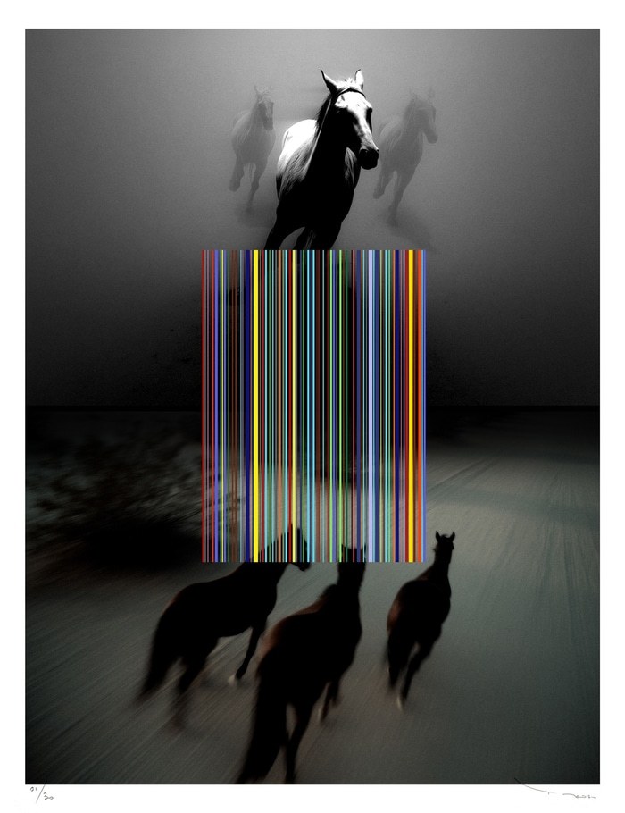 Wild Horses by Tehos Frederic Camilleri