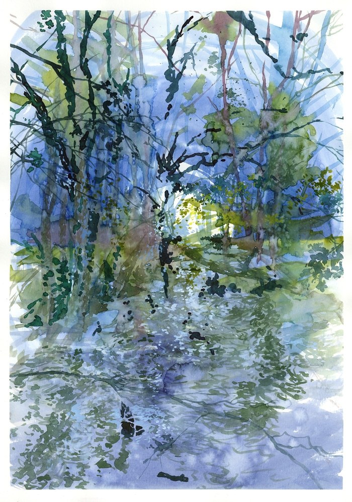 Sous-bois Puisaye Forterre Bourgogne von Thierry Machuron