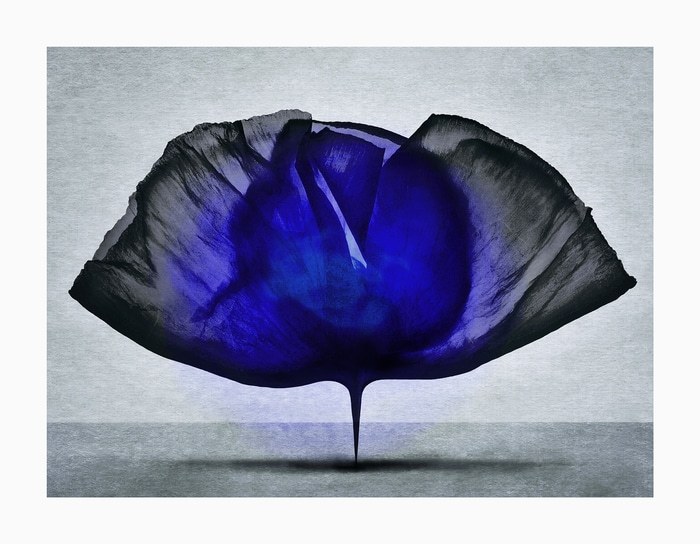 Contact #2. Variation bleue par Sovann Kim