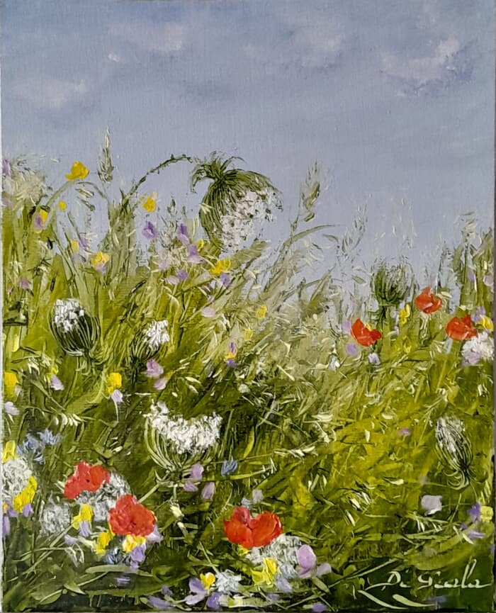 telle une ombrelle, la carotte sauvage by Brigitte Di Scala