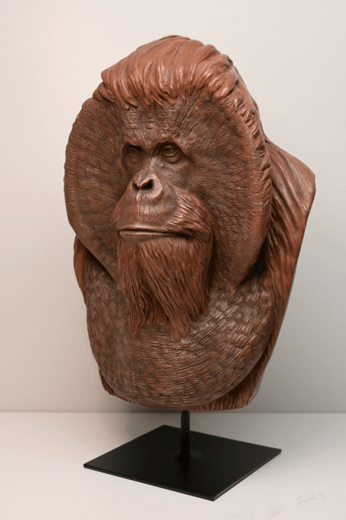 Orang Outan sage by Valerian Sioridzé