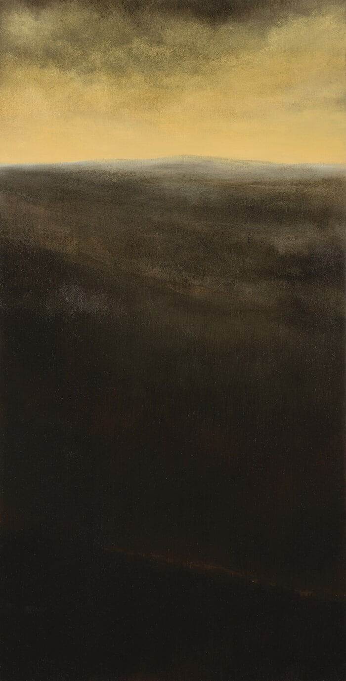 Il y a longtemps, très loin V  von Lluís-Carles Pericó