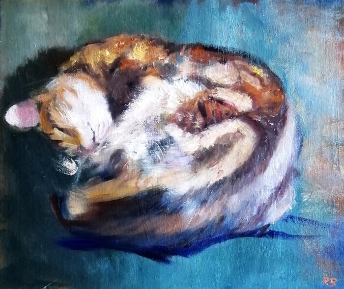 Curled cat von Rosemary Burn