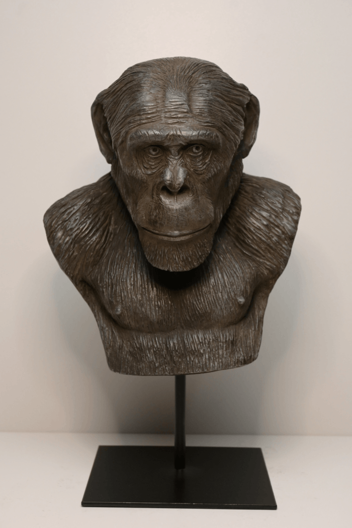 Penseur par Valerian Sioridzé