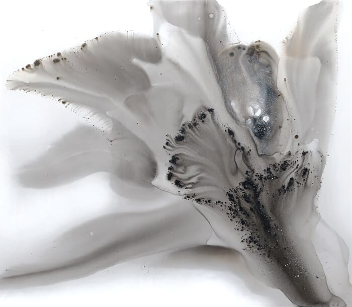 Nature 512 von Muriel Napoli