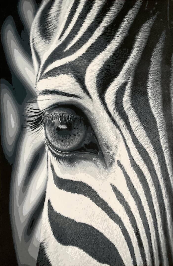 Rayures von Olivier Carpent