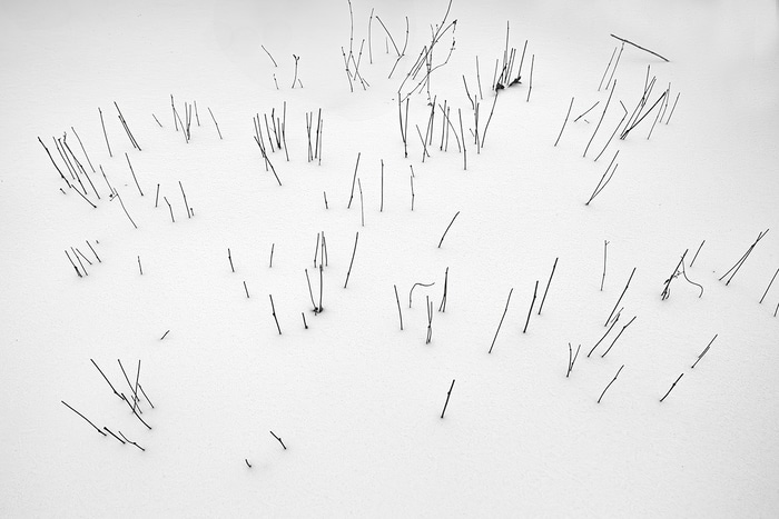 Aleatoric Chaos von Geoffrey Ansel Agrons