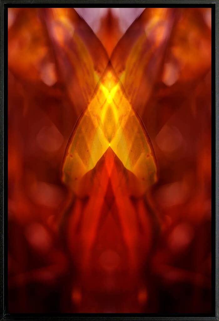 Réalité(s) 1 by Thomas Gigot