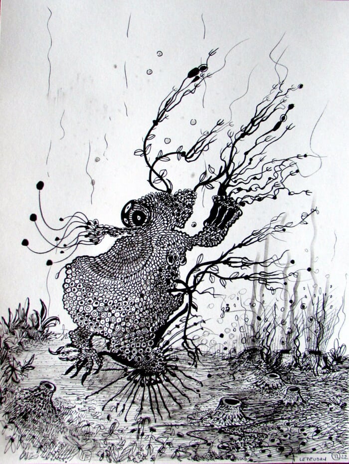 POISSON CORAIL 2 par Thibault Lepeudry