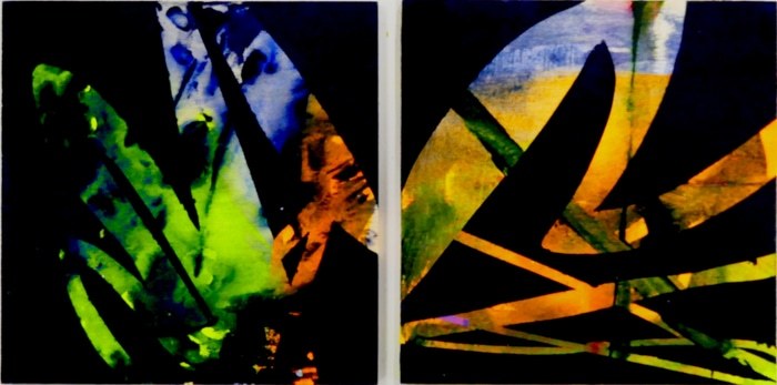 Faits d'affect dytique von Remi Delaplace