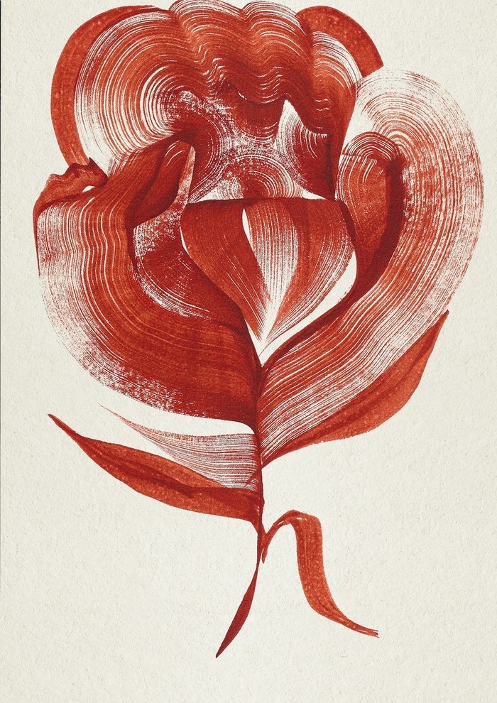 Camelia par The Frym