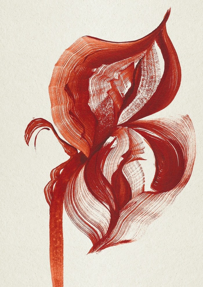 Tropical Flower par The Frym