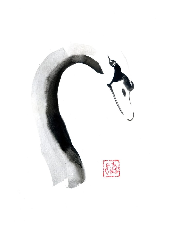 Swan face par Péchane