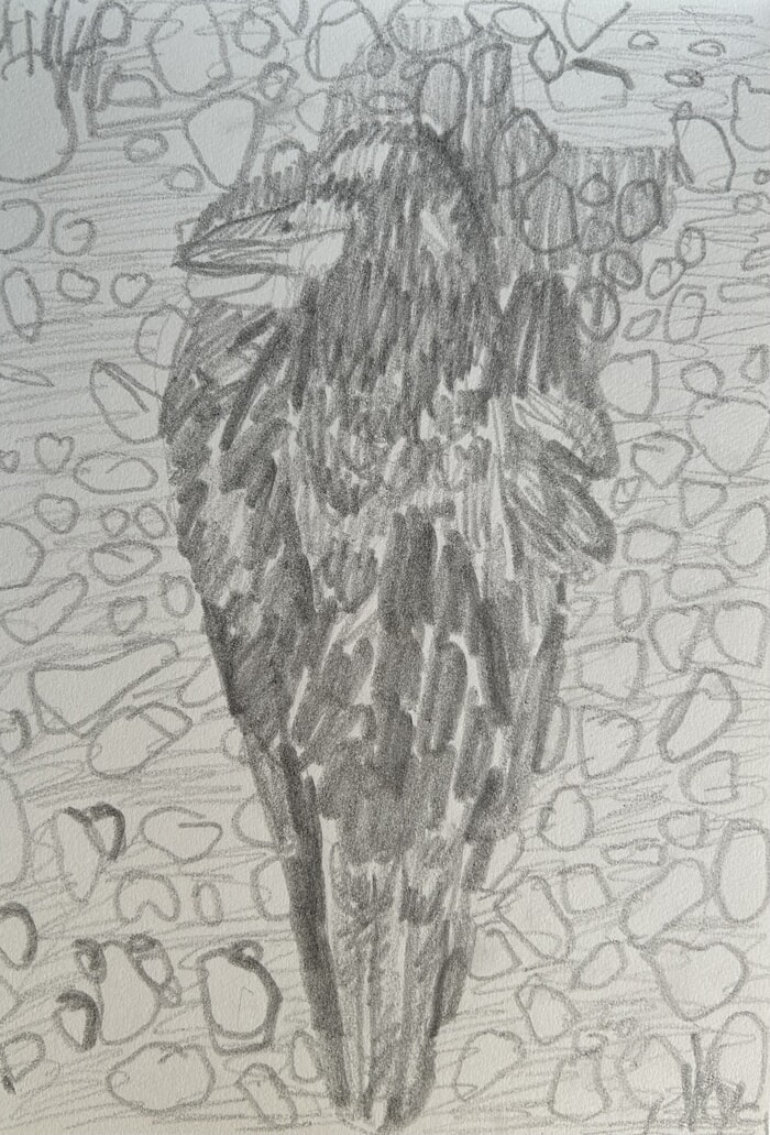 Blue bird 2 by Enzo Marra