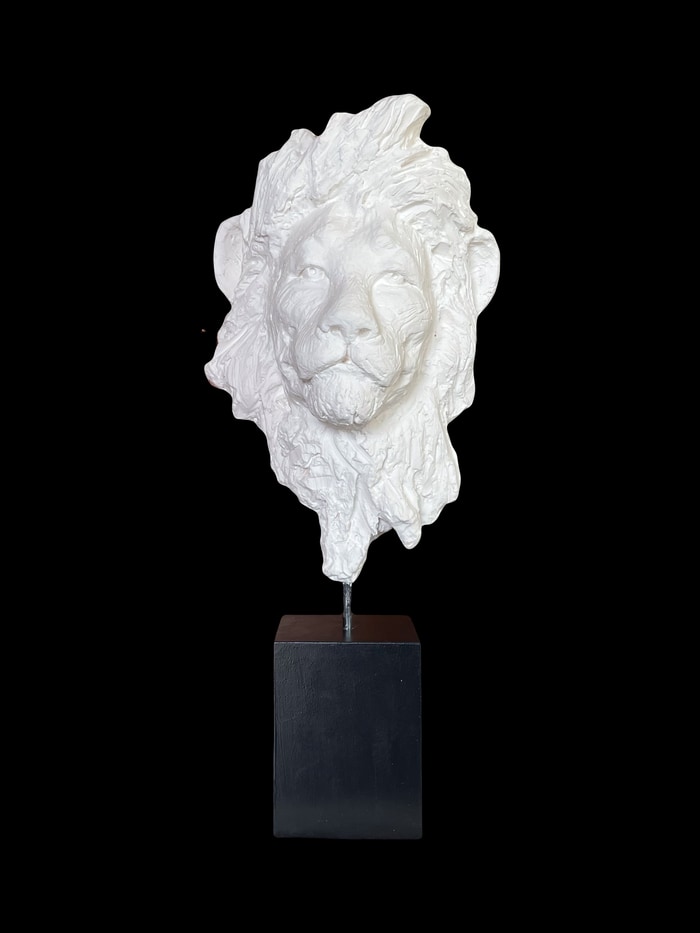 Puissance tranquille  by Anh Diù