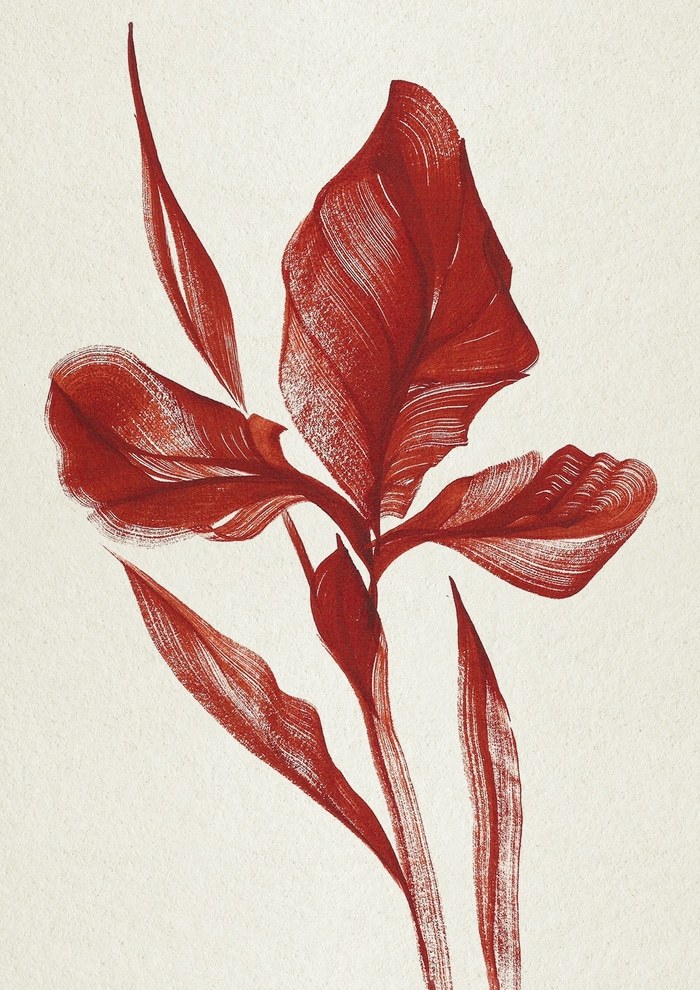 Iris no.2 par The Frym