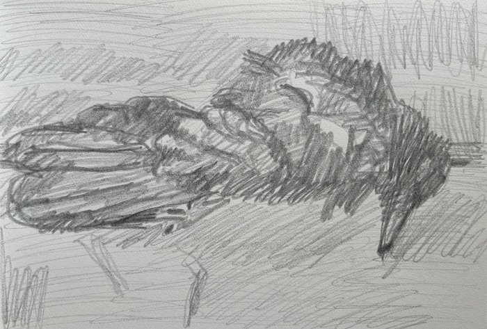 Blue bird 3 by Enzo Marra