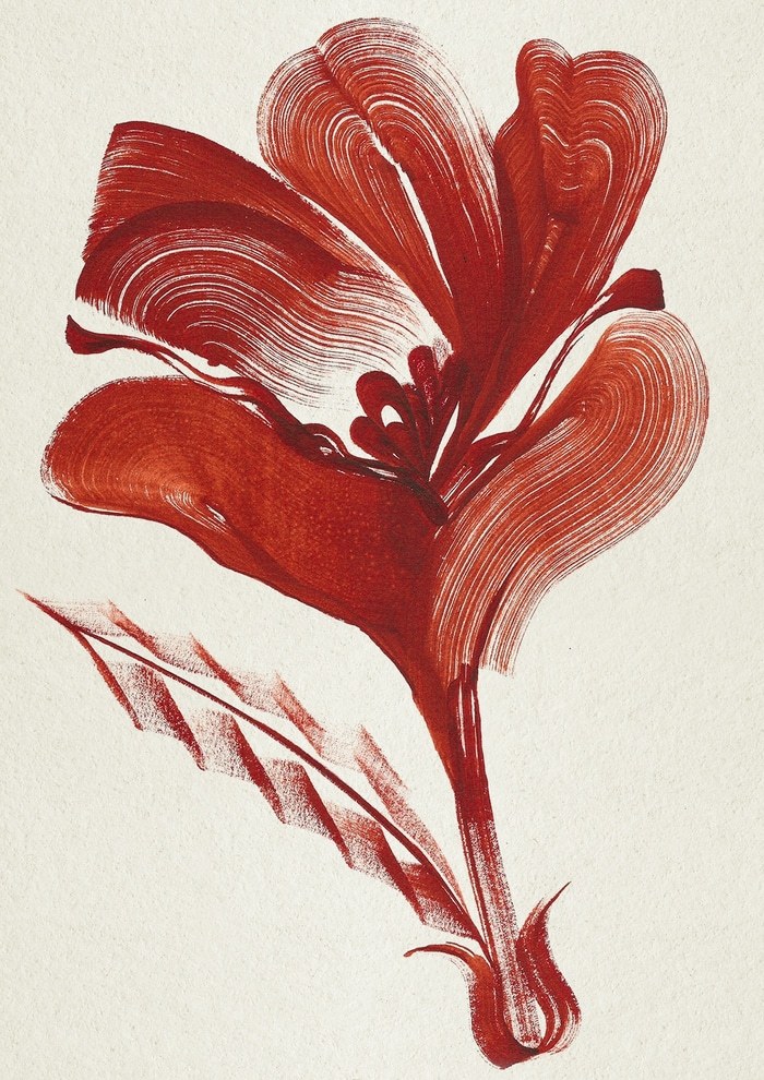 Magnolia par The Frym