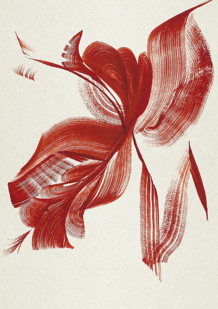 Stargazer par The Frym