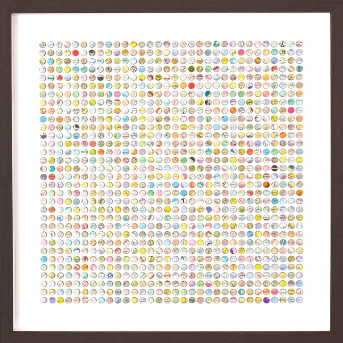 Migration von Amelia Coward