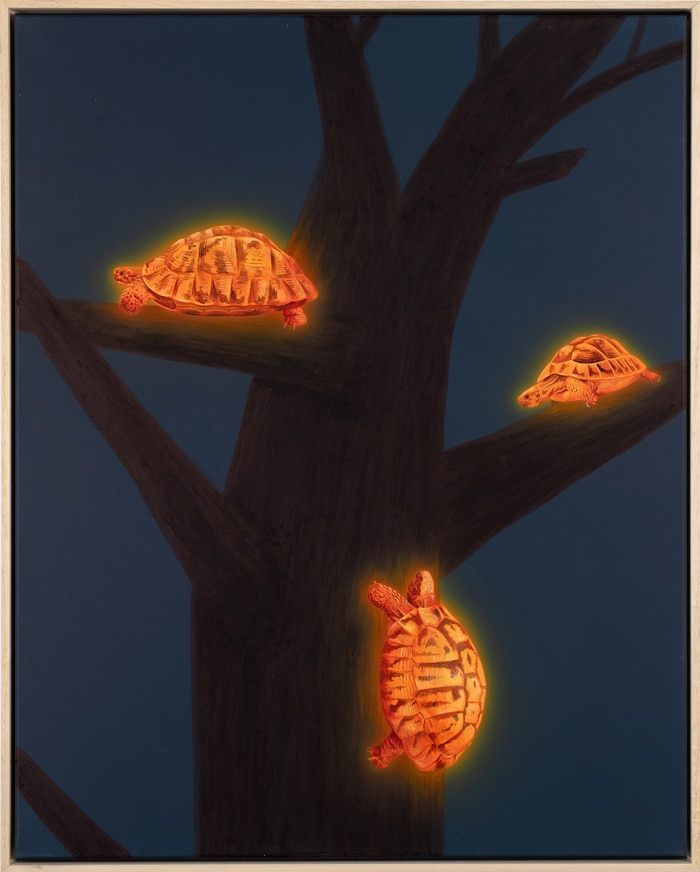 Barking Up the Wrong Tree von Joshua Daniels