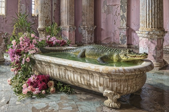 CROCODILE'S BATH par HOLLY WATT
