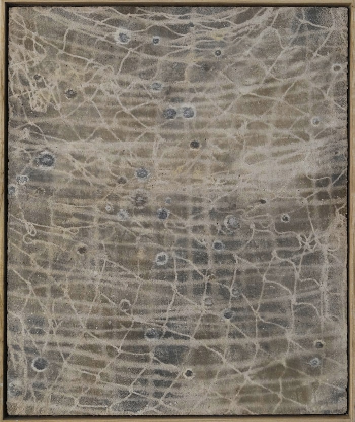 Fields of Connection par Geoff Diego Litherland