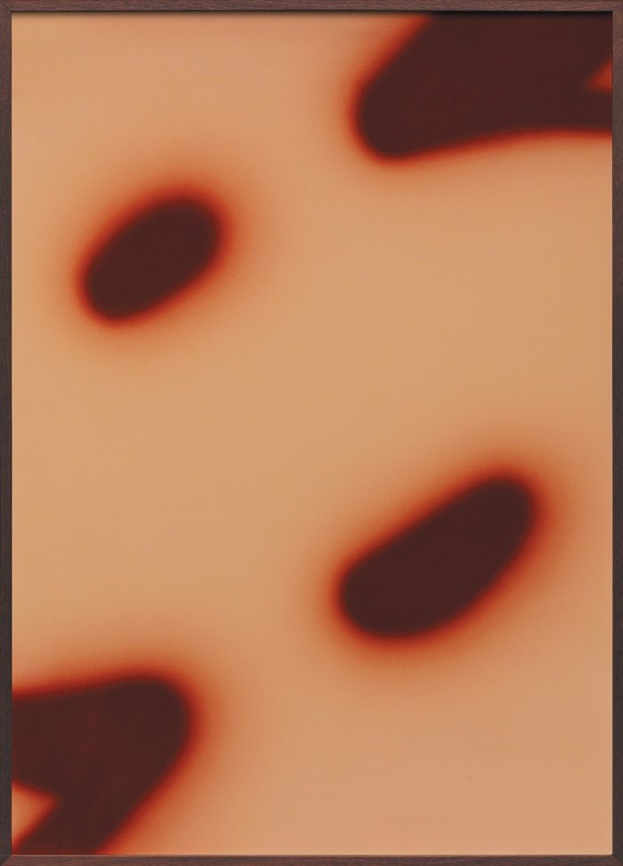 Verso 08 by Corin Kennington