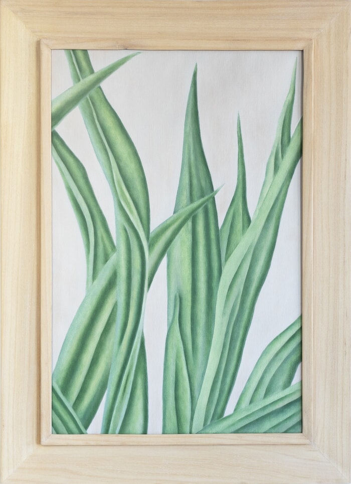 Inside Agave by Marianne Hendriks