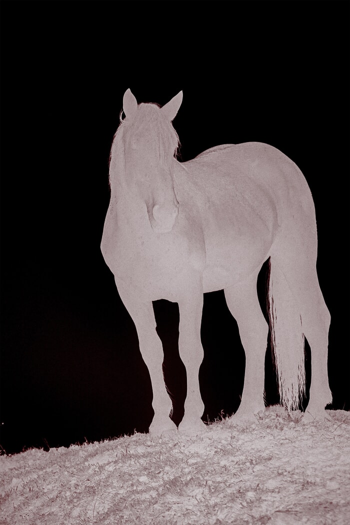Magical Horse Hill one - inverted magenta by Bruno Houdayer