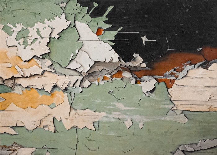 BEAUTY OF DECAY von db Waterman