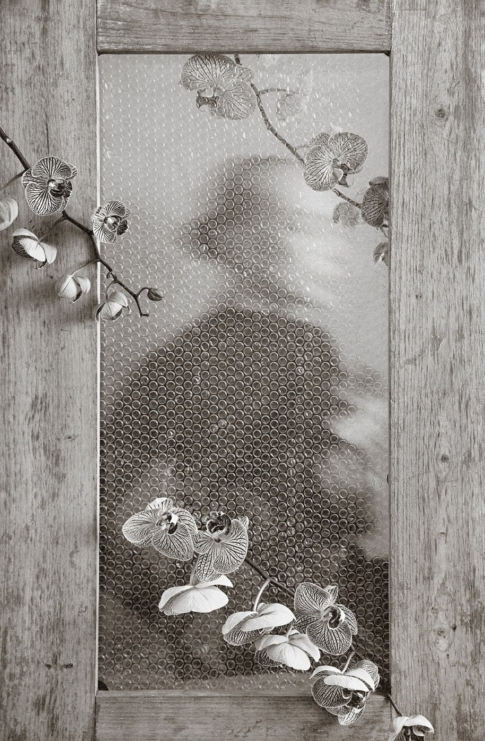 Veiled Bloom​ - V von Xidong Luo