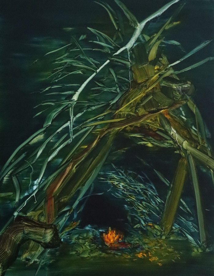 Fire-gazing par Barbara Howey