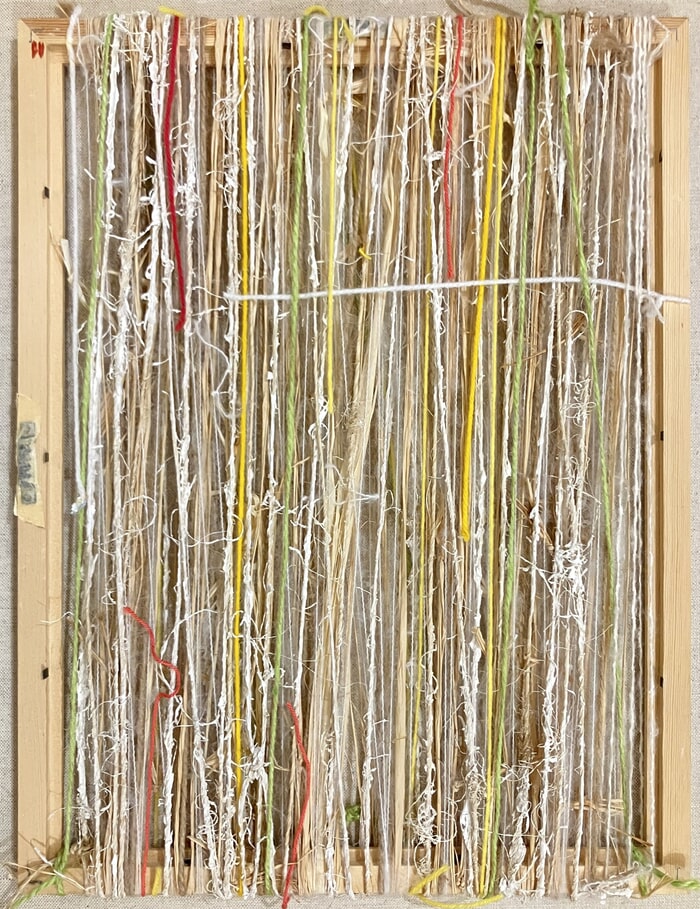 Le deuxième Filaire by Anne Iris