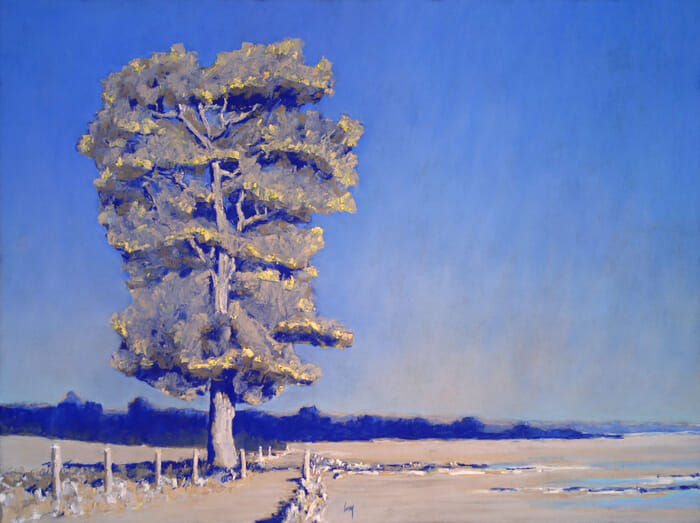 Le chemin sur la baie by François Cusson