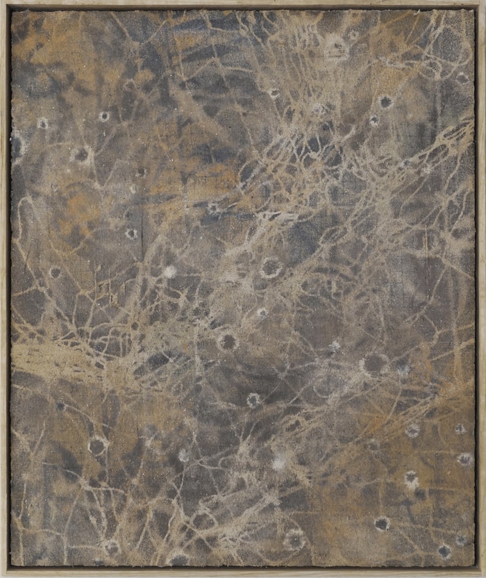 Becoming Earth  par Geoff Diego Litherland