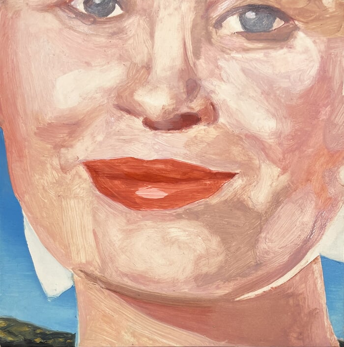 A lid on a scream par Lucia Jones