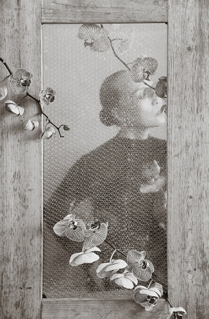 Veiled Bloom​ - IV von Xidong Luo