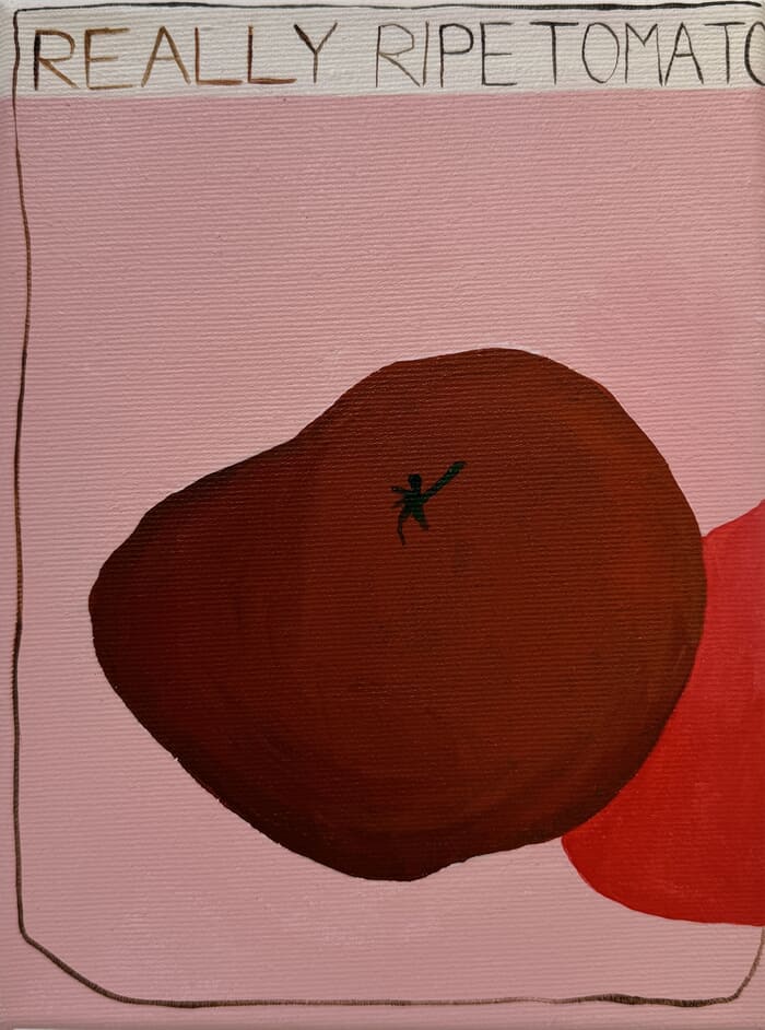 really ripe tomato von Leila Lallali