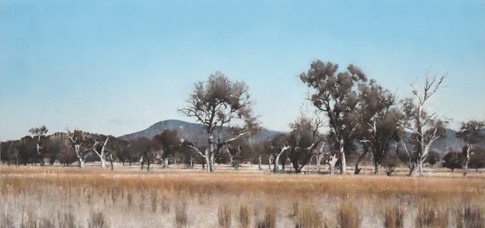 Landscape, Tidbinbilla by Nick Offer