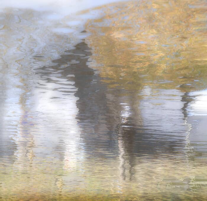 arbuste flottant by Isabelle Chambon