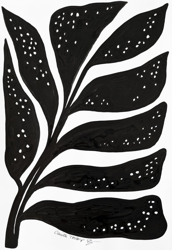 Floreale n°01 von Camille Tardif