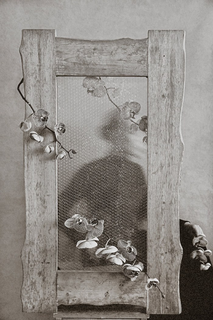 Veiled Bloom​ - I by Xidong Luo